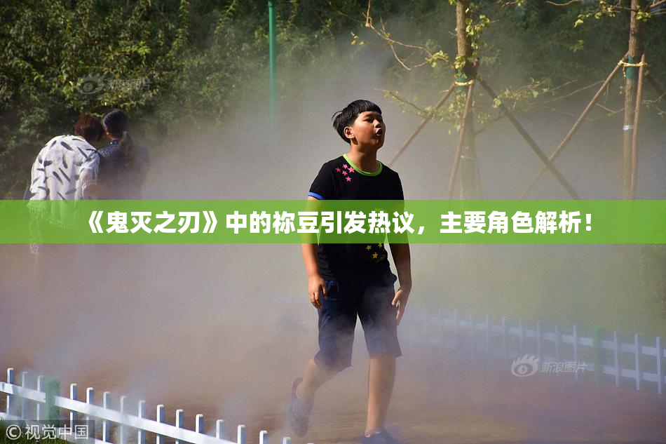 《鬼灭之刃》中的祢豆引发热议，主要角色解析！