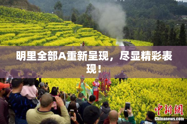 明里全部A重新呈现，尽显精彩表现！
