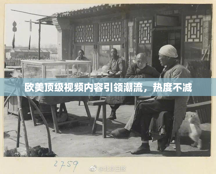 欧美顶级视频内容引领潮流，热度不减