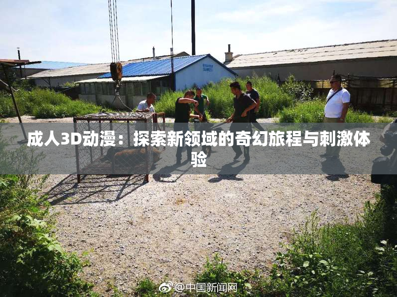 成人3D动漫：探索新领域的奇幻旅程与刺激体验