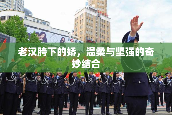 老汉胯下的娇，温柔与坚强的奇妙结合