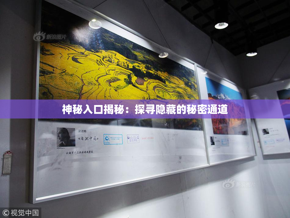 神秘入口揭秘：探寻隐藏的秘密通道