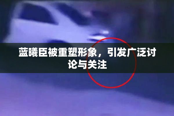 蓝曦臣被重塑形象，引发广泛讨论与关注