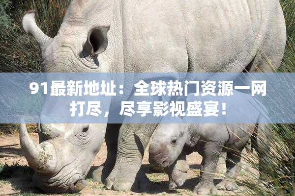 91最新地址：全球热门资源一网打尽，尽享影视盛宴！