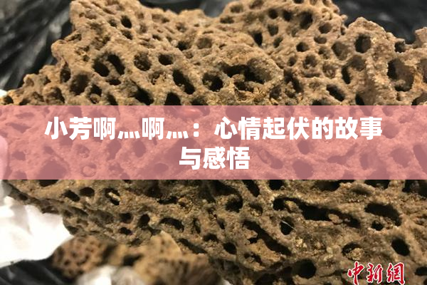 小芳啊灬啊灬：心情起伏的故事与感悟