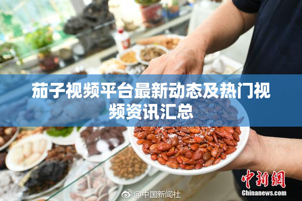 茄子视频平台最新动态及热门视频资讯汇总