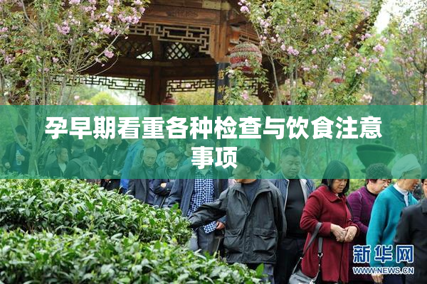 孕早期看重各种检查与饮食注意事项