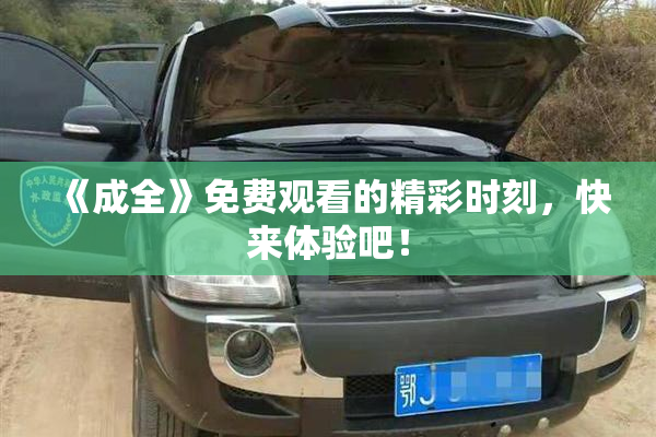 《成全》免费观看的精彩时刻，快来体验吧！