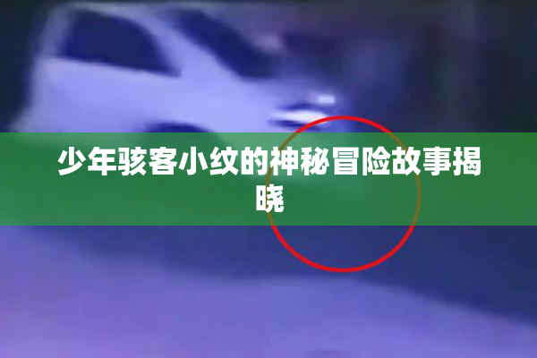 少年骇客小纹的神秘冒险故事揭晓