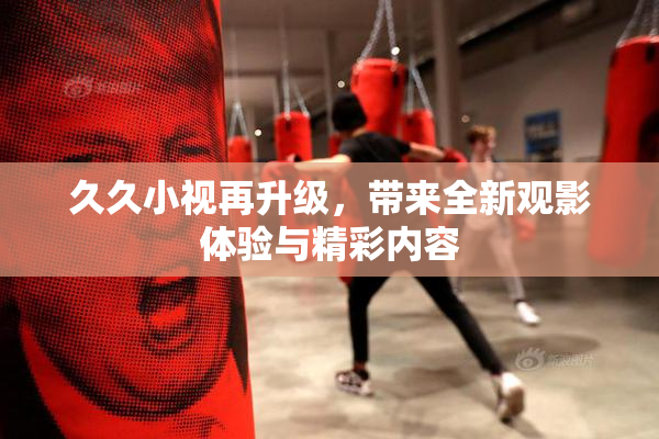 久久小视再升级，带来全新观影体验与精彩内容