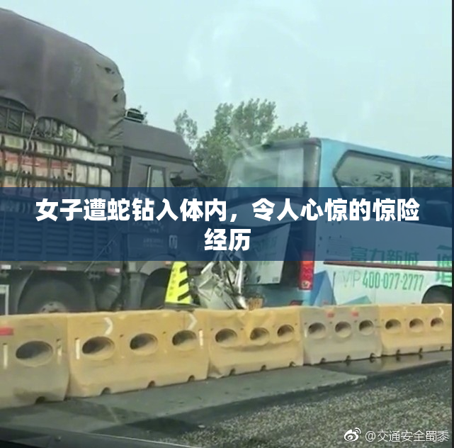 女子遭蛇钻入体内，令人心惊的惊险经历