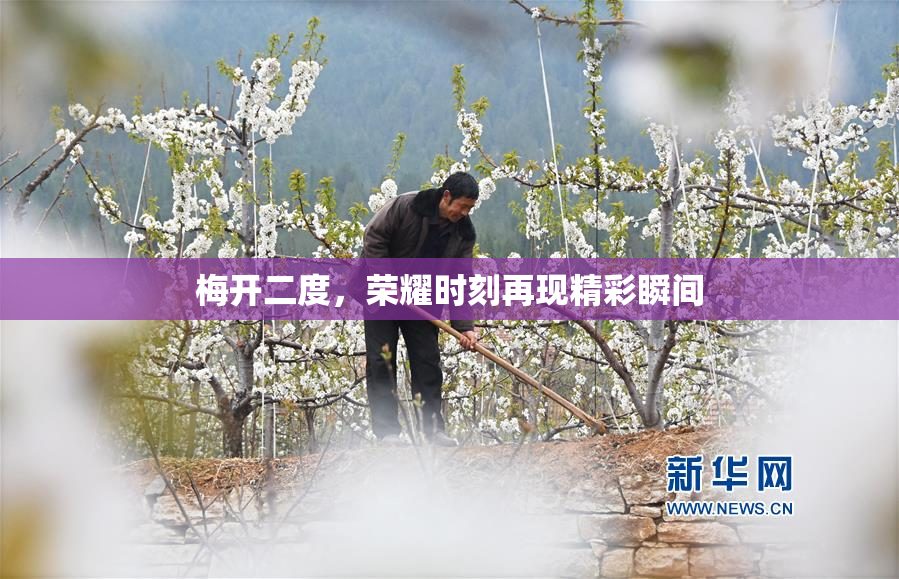 梅开二度，荣耀时刻再现精彩瞬间