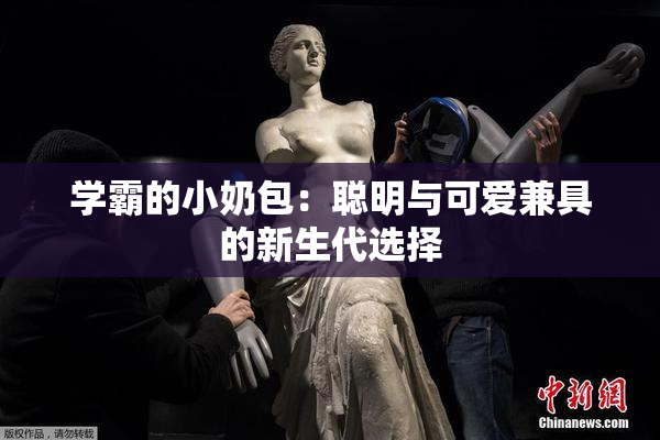学霸的小奶包：聪明与可爱兼具的新生代选择