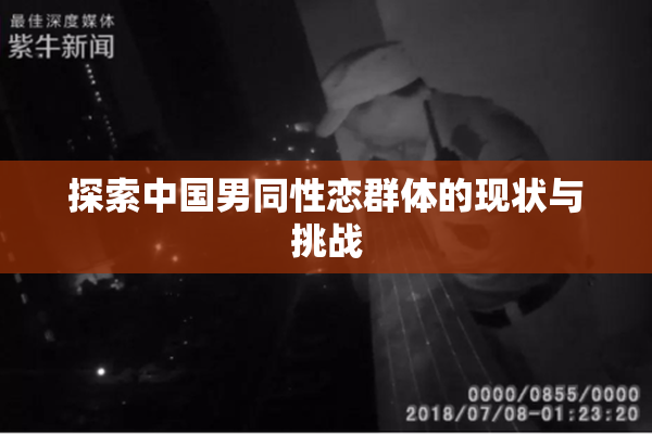 探索中国男同性恋群体的现状与挑战