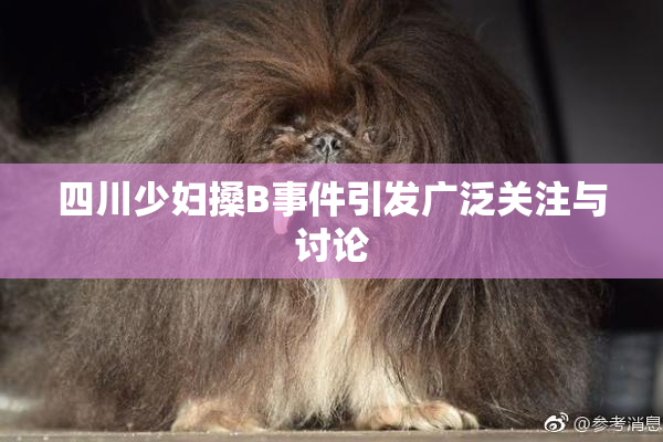 四川少妇搡B事件引发广泛关注与讨论