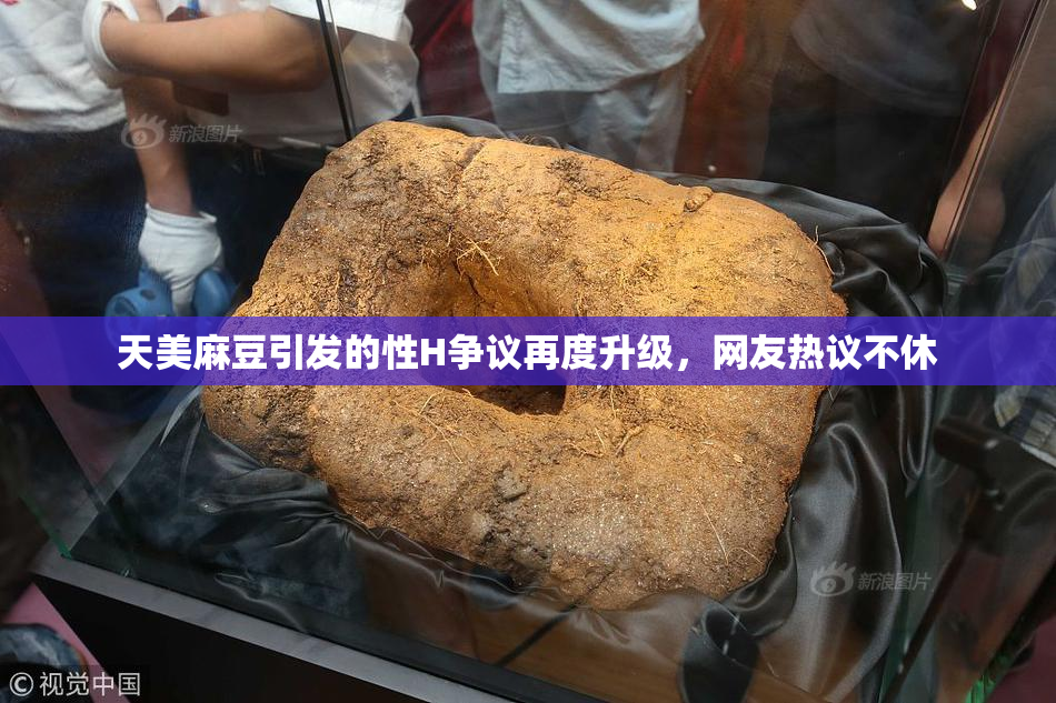 天美麻豆引发的性H争议再度升级，网友热议不休