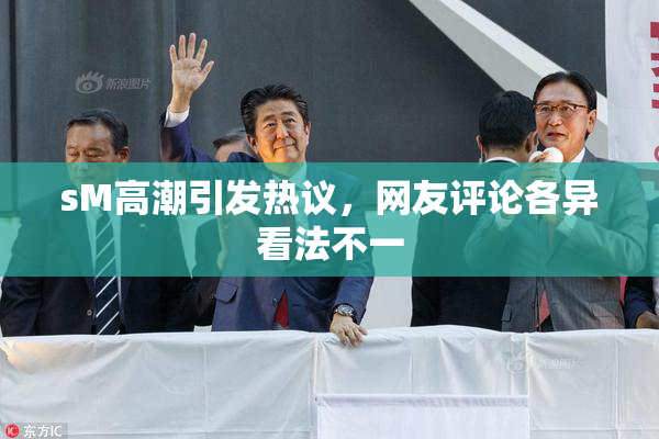 sM高潮引发热议，网友评论各异看法不一