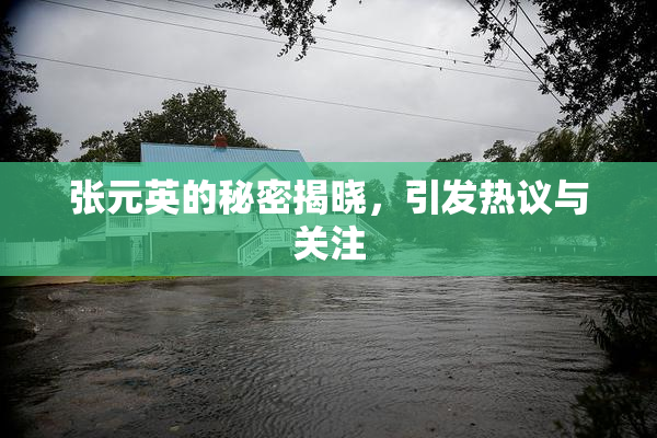 张元英的秘密揭晓，引发热议与关注