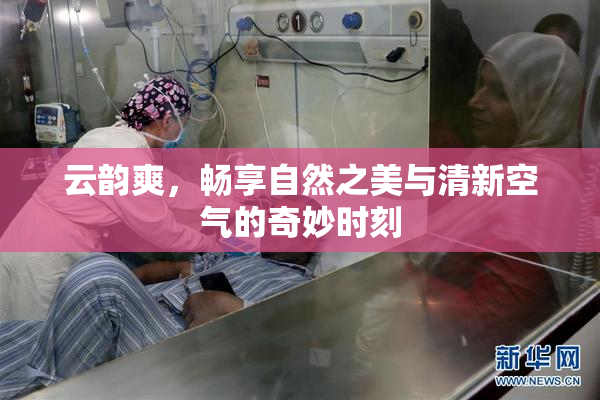 云韵爽，畅享自然之美与清新空气的奇妙时刻