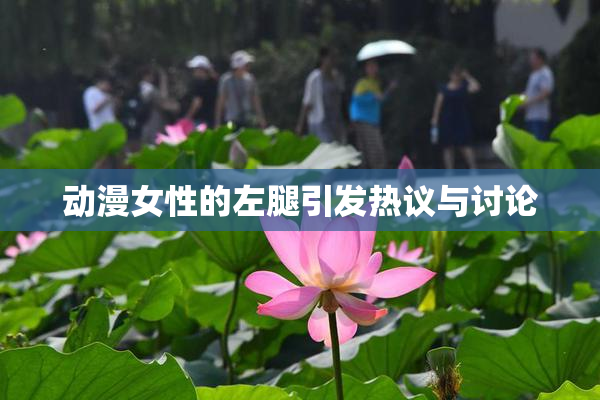 动漫女性的左腿引发热议与讨论