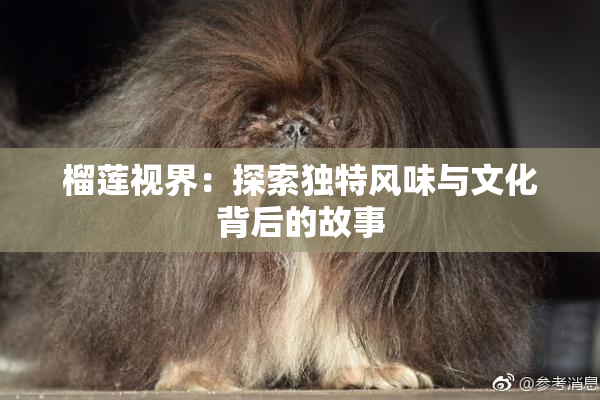 榴莲视界：探索独特风味与文化背后的故事