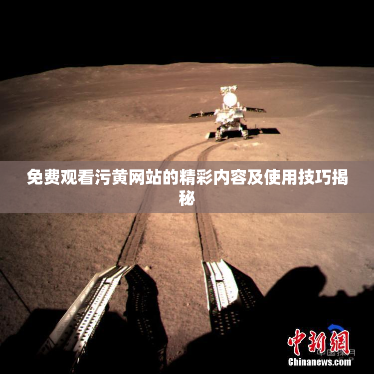 免费观看污黄网站的精彩内容及使用技巧揭秘