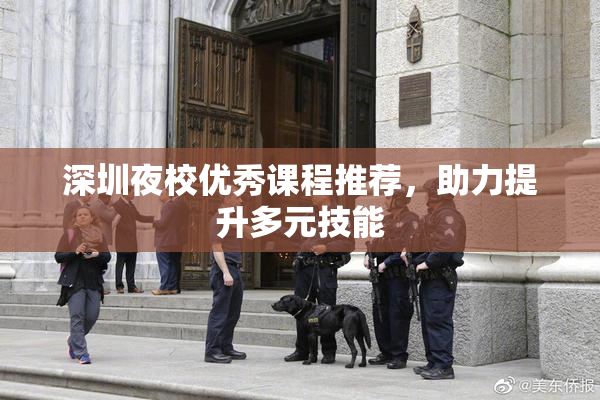 深圳夜校优秀课程推荐，助力提升多元技能