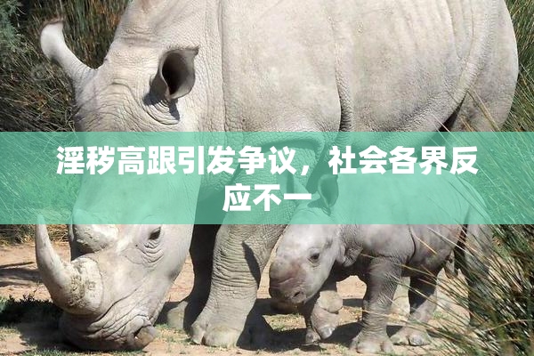 淫秽高跟引发争议，社会各界反应不一