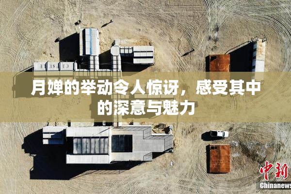 月婵的举动令人惊讶，感受其中的深意与魅力