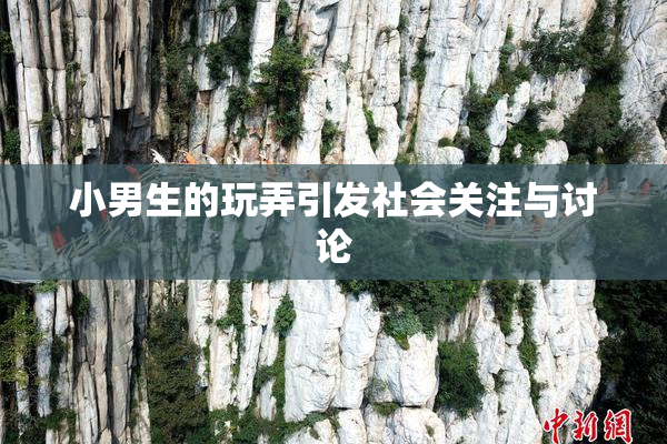 小男生的玩弄引发社会关注与讨论
