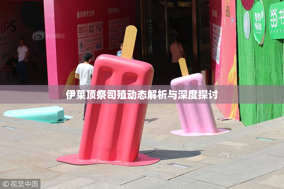 伊莱顶祭司殖动态解析与深度探讨