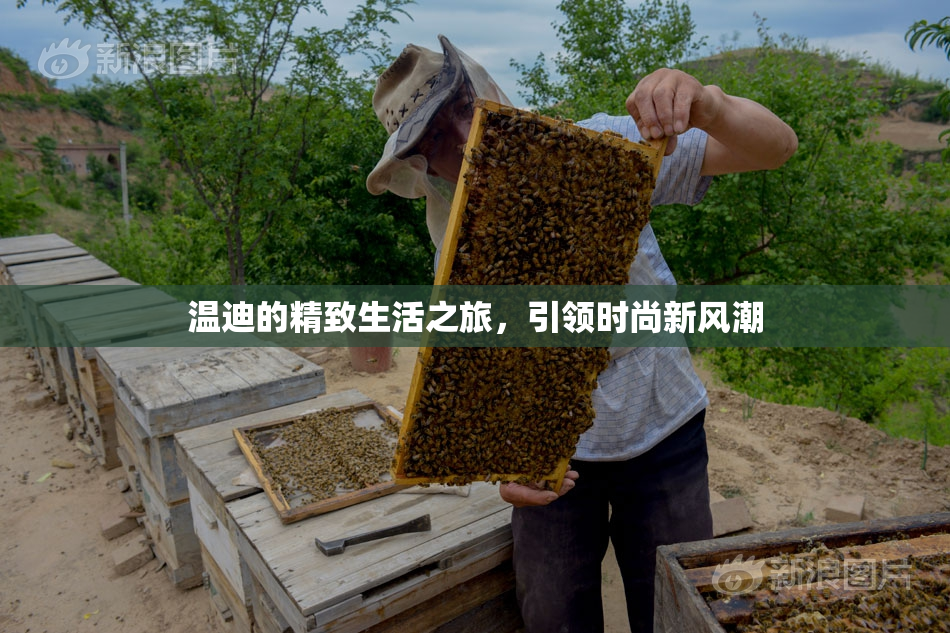 温迪的精致生活之旅，引领时尚新风潮
