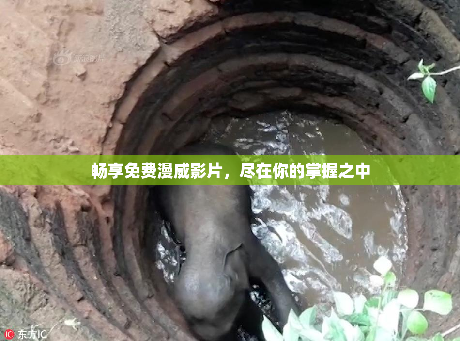 畅享免费漫威影片，尽在你的掌握之中