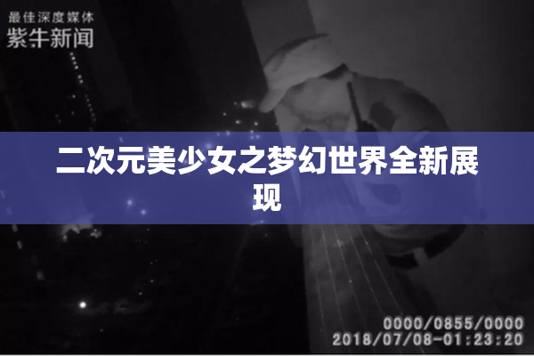 二次元美少女之梦幻世界全新展现