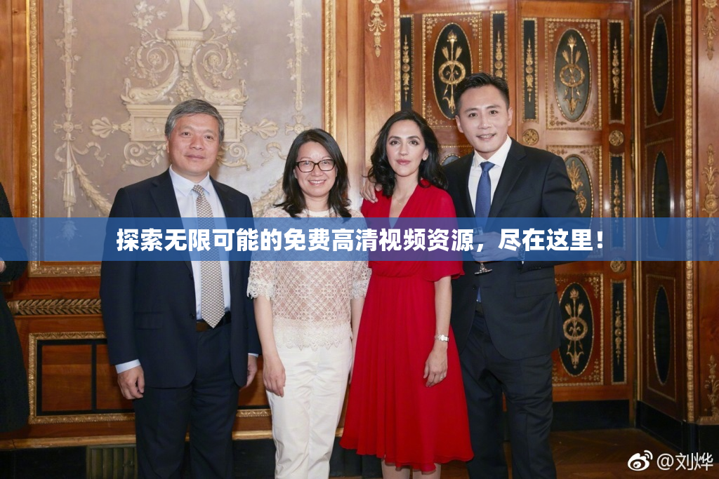 探索无限可能的免费高清视频资源，尽在这里！