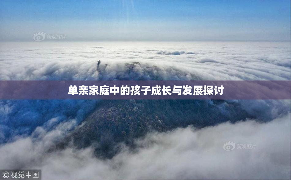 单亲家庭中的孩子成长与发展探讨
