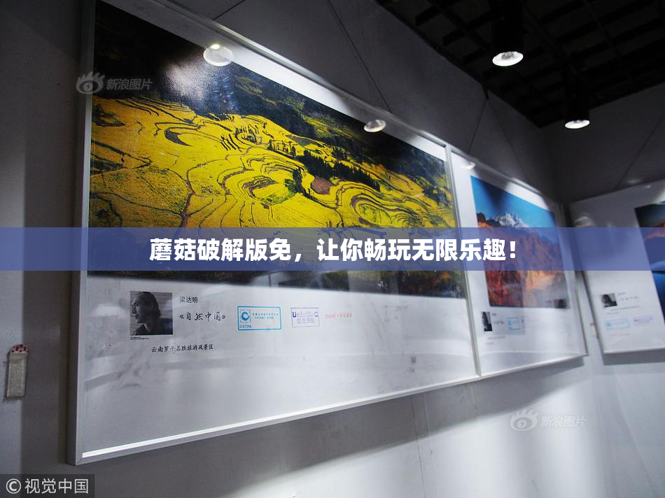 蘑菇破解版免，让你畅玩无限乐趣！