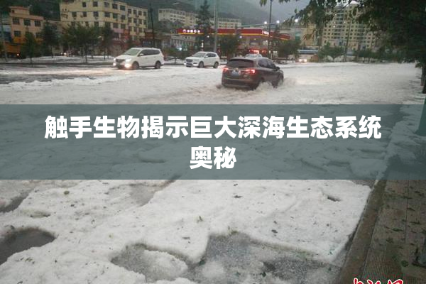 触手生物揭示巨大深海生态系统奥秘