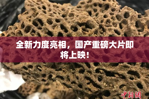 全新力度亮相，国产重磅大片即将上映！