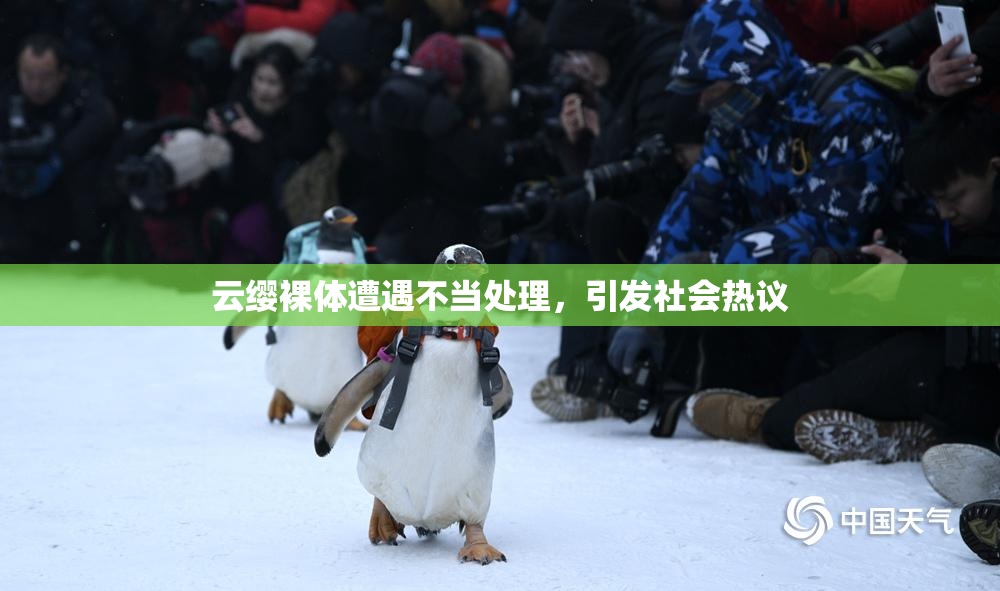 云缨裸体遭遇不当处理，引发社会热议