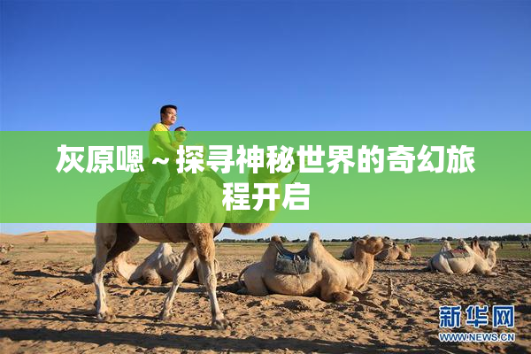 灰原嗯～探寻神秘世界的奇幻旅程开启