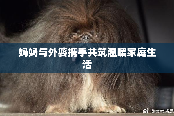 妈妈与外婆携手共筑温暖家庭生活