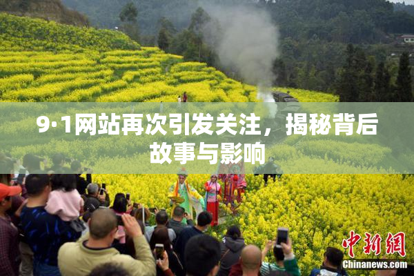 9·1网站再次引发关注，揭秘背后故事与影响