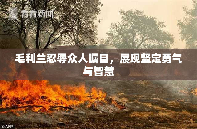 毛利兰忍辱众人瞩目，展现坚定勇气与智慧