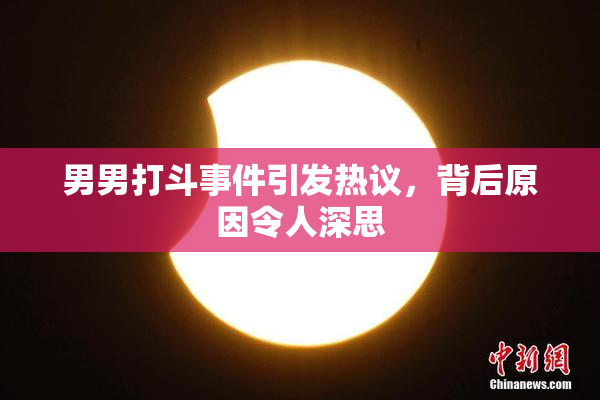 男男打斗事件引发热议，背后原因令人深思