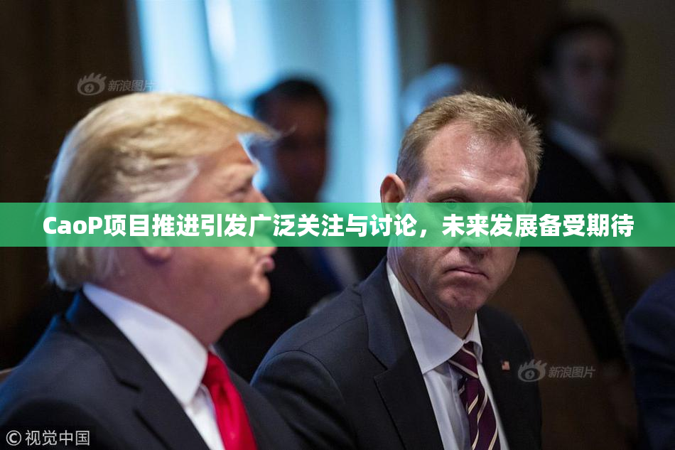 CaoP项目推进引发广泛关注与讨论，未来发展备受期待