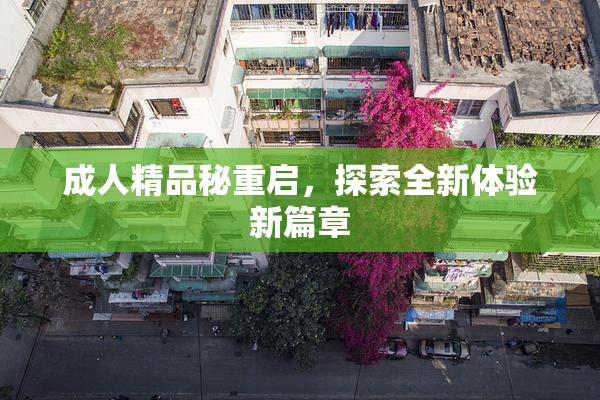 成人精品秘重启，探索全新体验新篇章