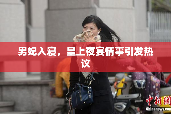 男妃入寝，皇上夜宴情事引发热议