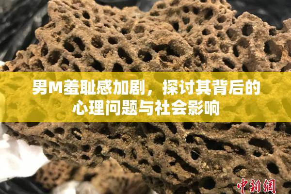 男M羞耻感加剧，探讨其背后的心理问题与社会影响