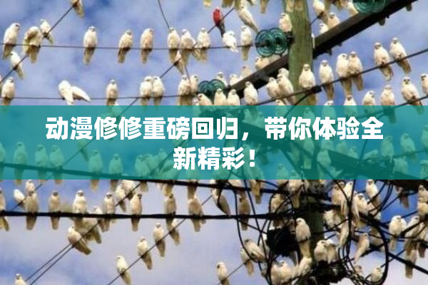 动漫修修重磅回归，带你体验全新精彩！